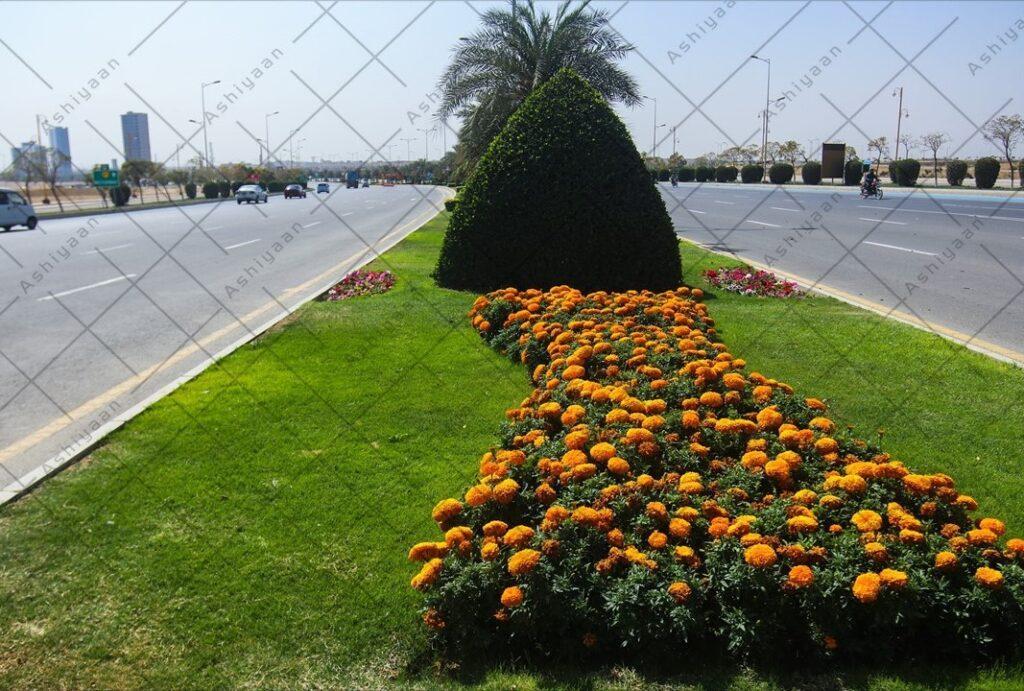 Plot in Bahria