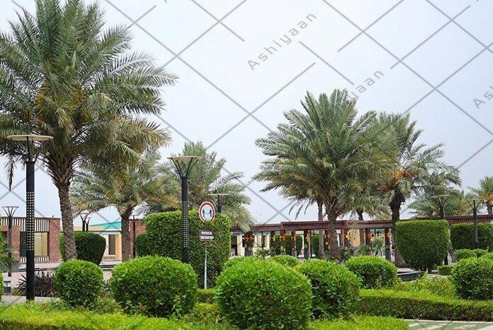 Villa in Bahria Town for Sale