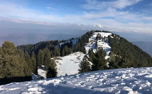 Mushkpuri Top