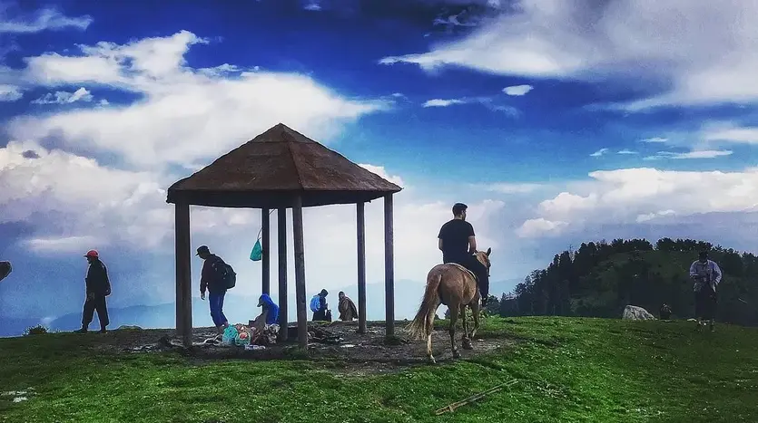 Mushkpuri Top